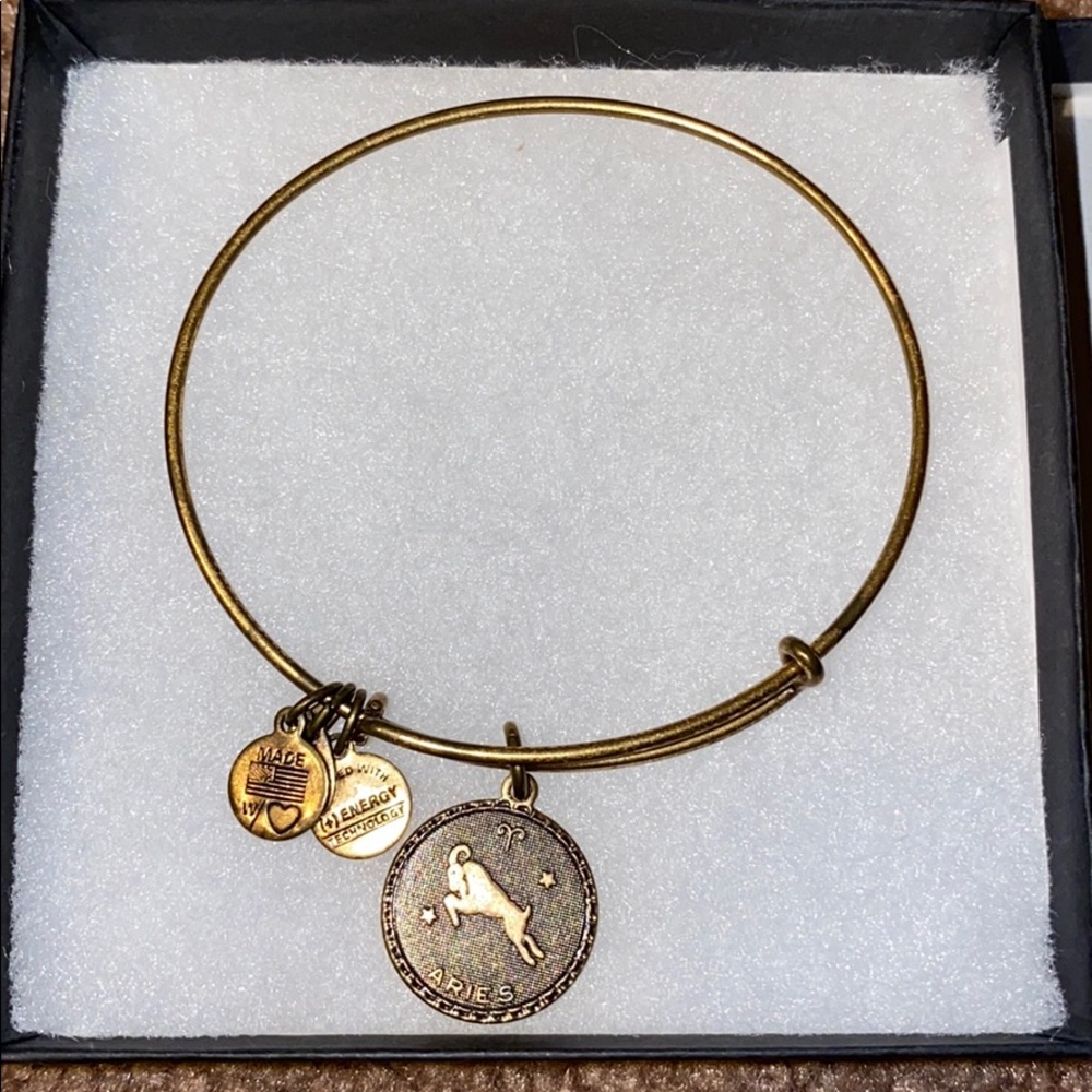 ‘Aries' Alex & Ani Bracelet with box